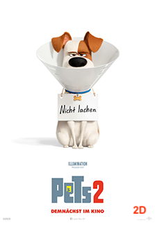 PETS 2 2D