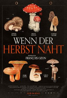 KINODIENSTAG 11.11. 25 19.30 :Wenn der Herbst naht